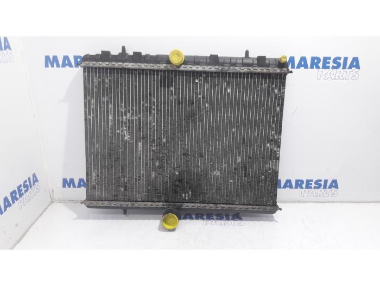 Fiat - Scudo - Radiator