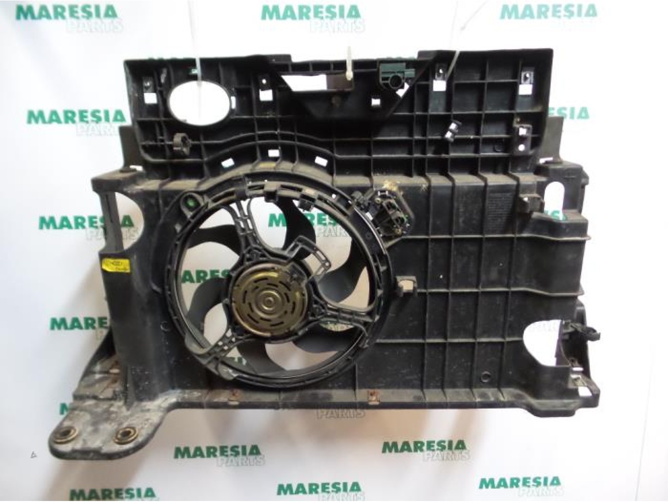Fiat - Stilo - Koelvin Motor
