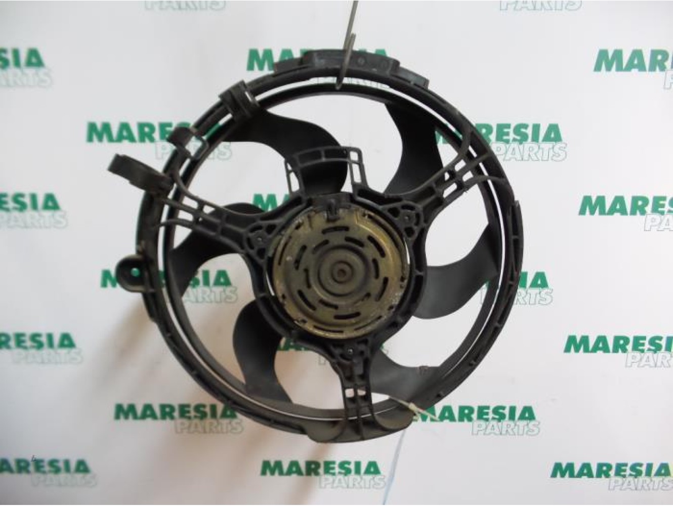 Fiat - Stilo - Koelvin Motor