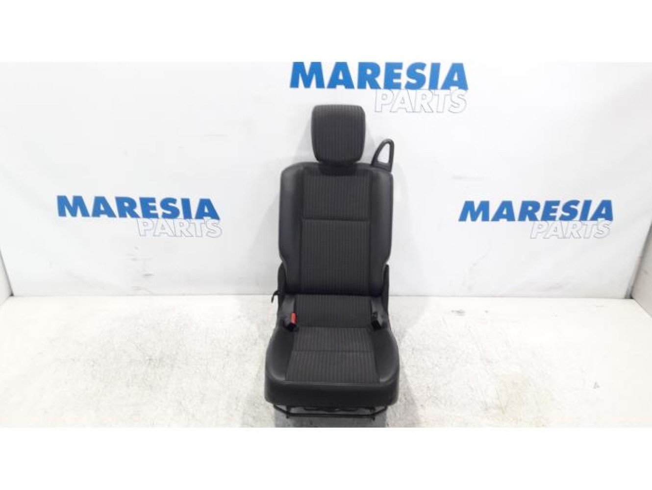 Renault - Scenic - Rear seat