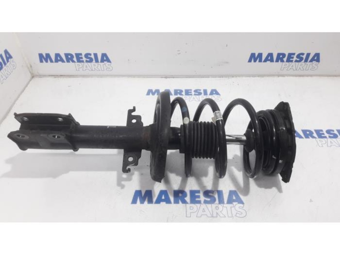 Renault - Scenic - Front shock absorber rod, left