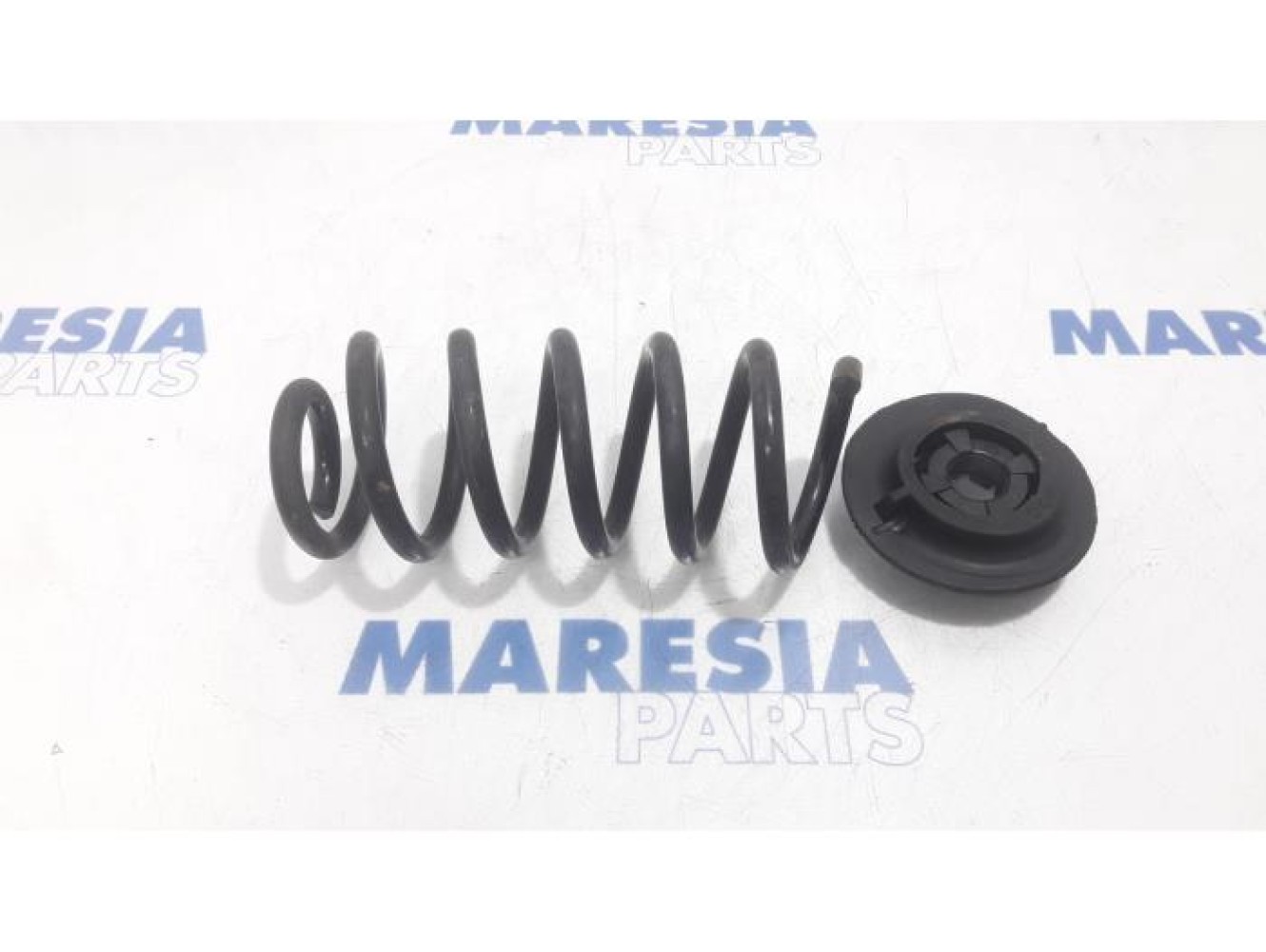 Renault - Clio - Rear coil spring