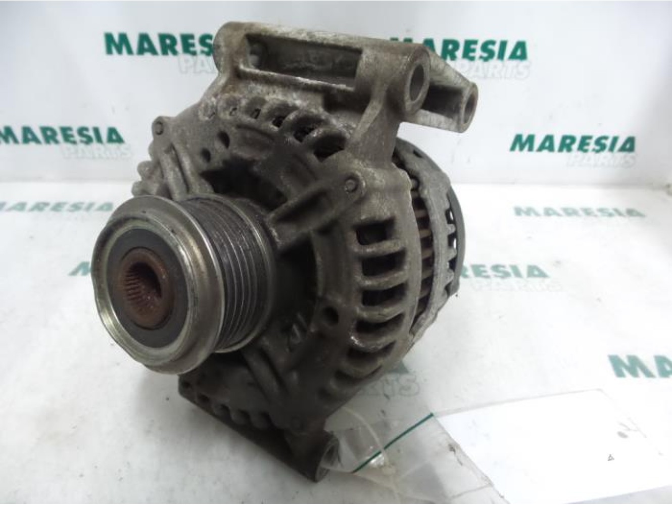 Fiat - Ducato - Dynamo