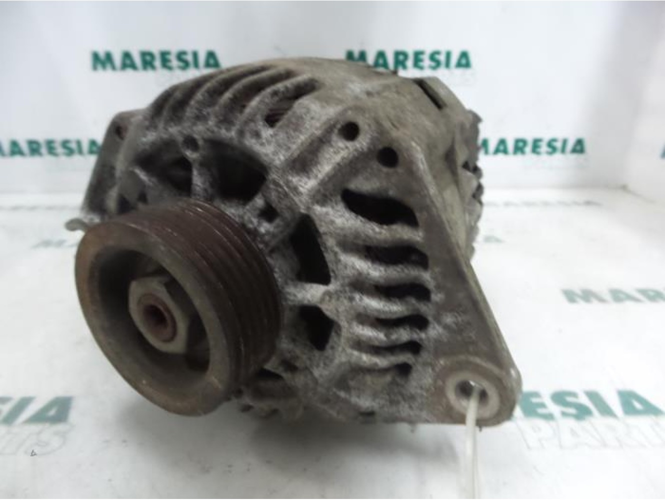 Fiat - Ducato - Dynamo