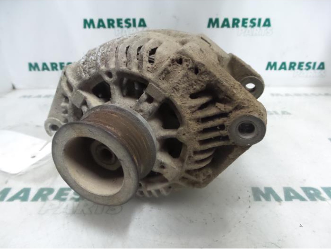 Fiat - Ducato - Dynamo