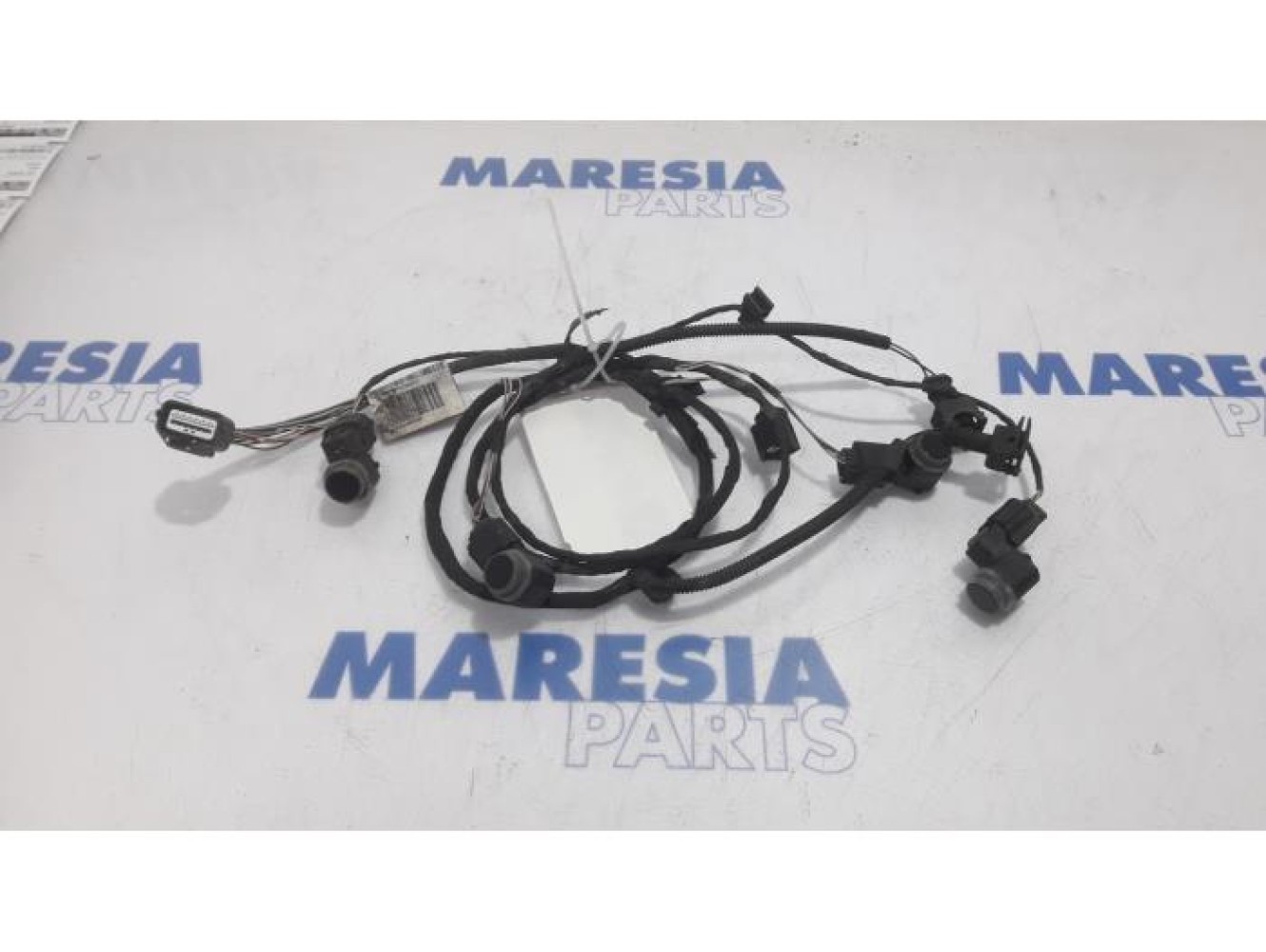 Renault - Scenic - PDC Sensor