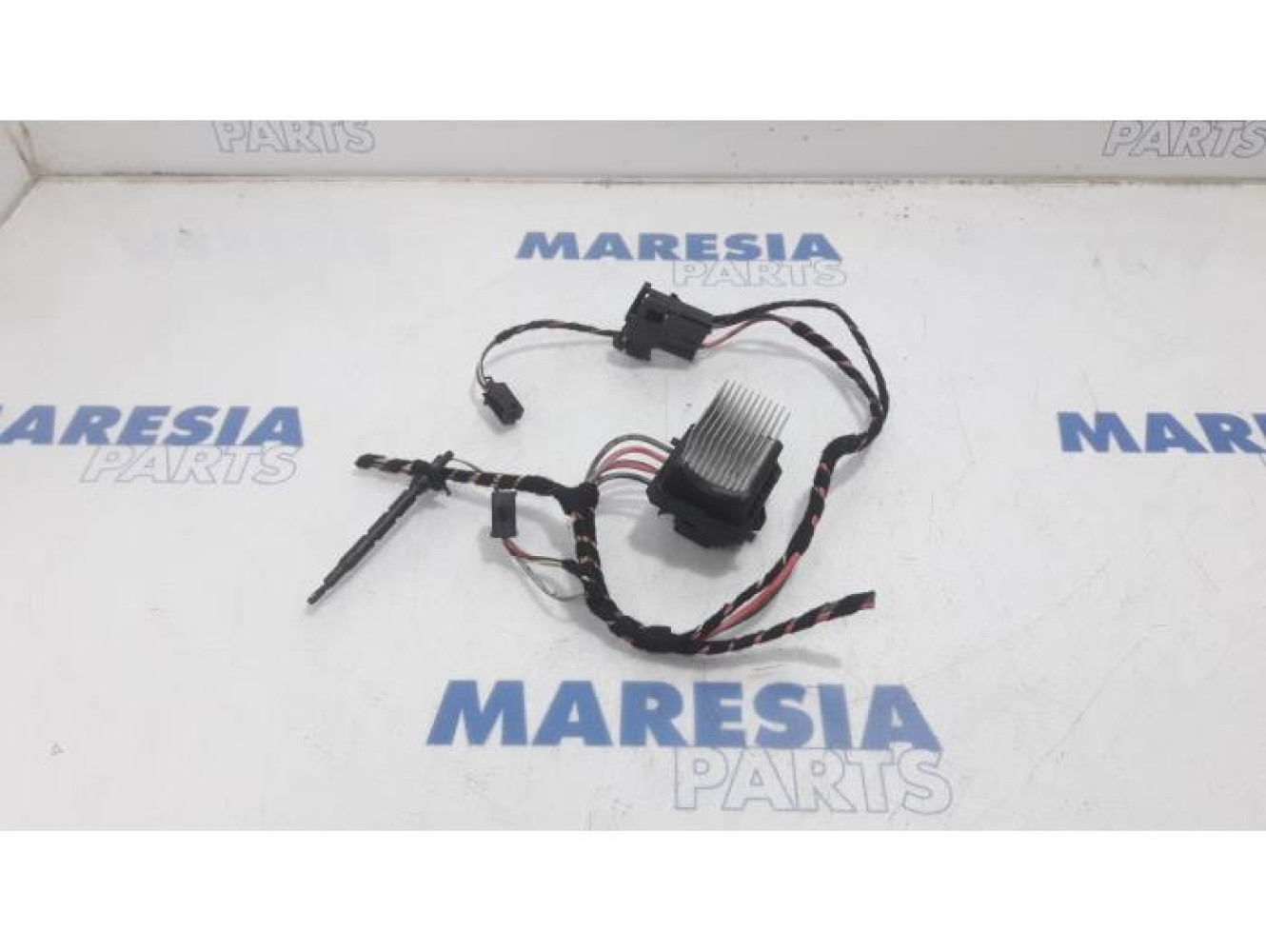 Renault - Scenic - Heater resistor