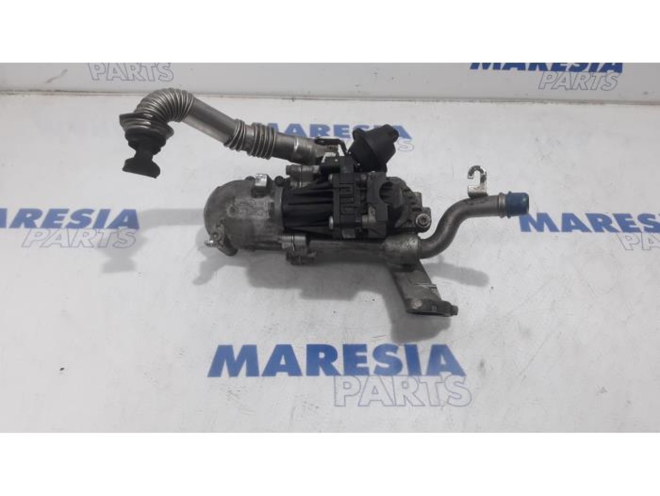 Citroen - Jumpy - EGR valve