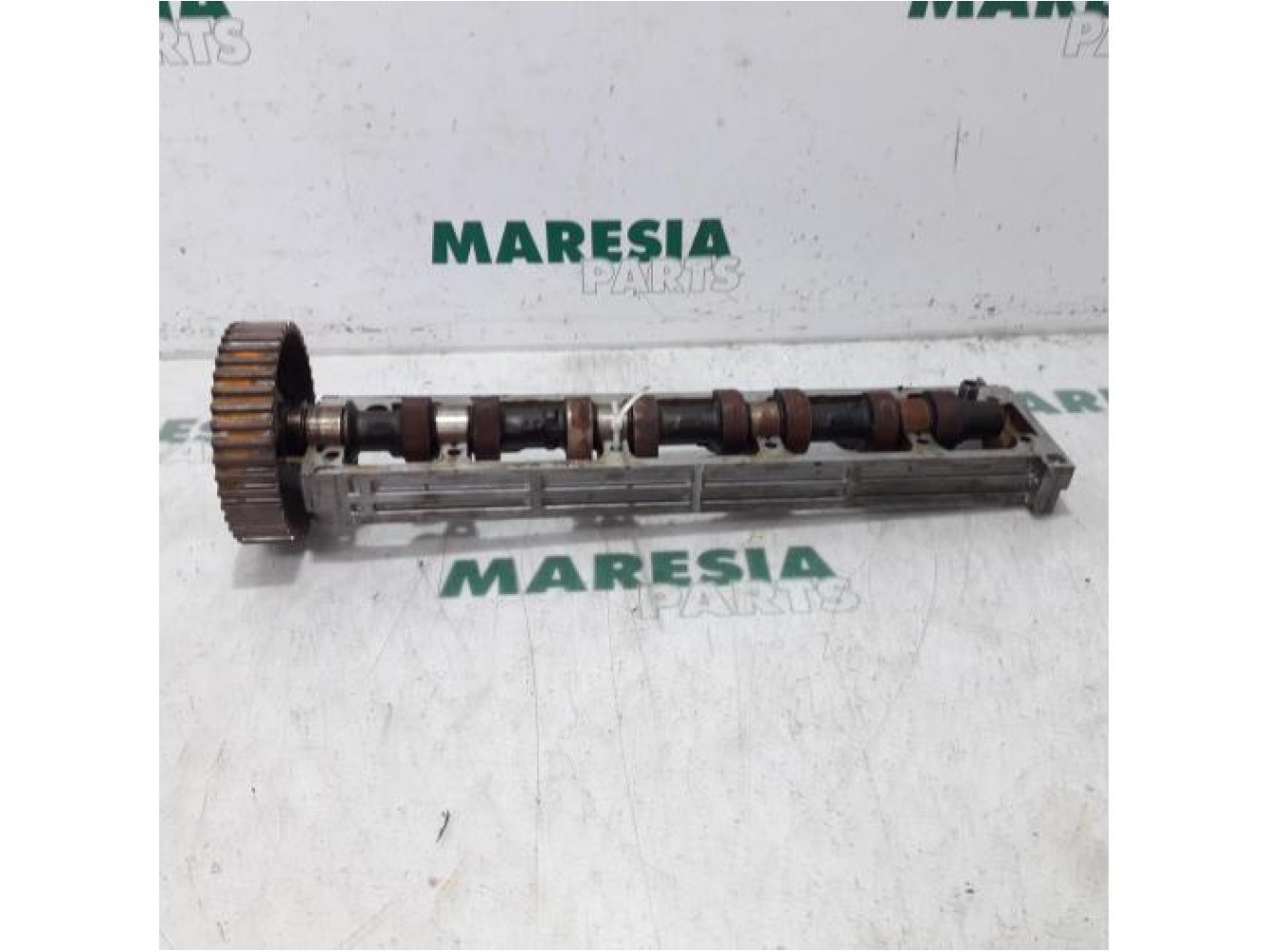 Peugeot - 406 - Camshaft