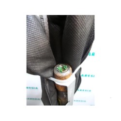 Renault - Megane Scenic - Airbag Himmel rechts