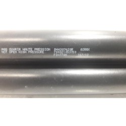 Renault - Clio - Set of tailgate gas struts