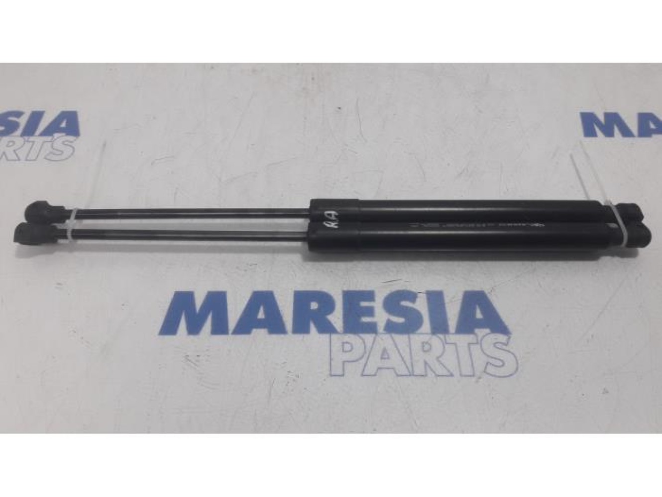 Renault - Clio - Set of tailgate gas struts