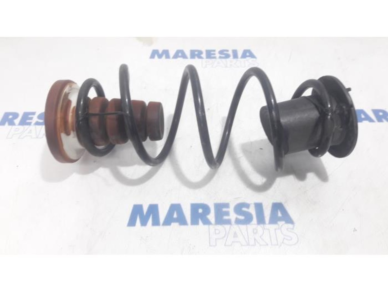 Renault - Kangoo - Rear coil spring