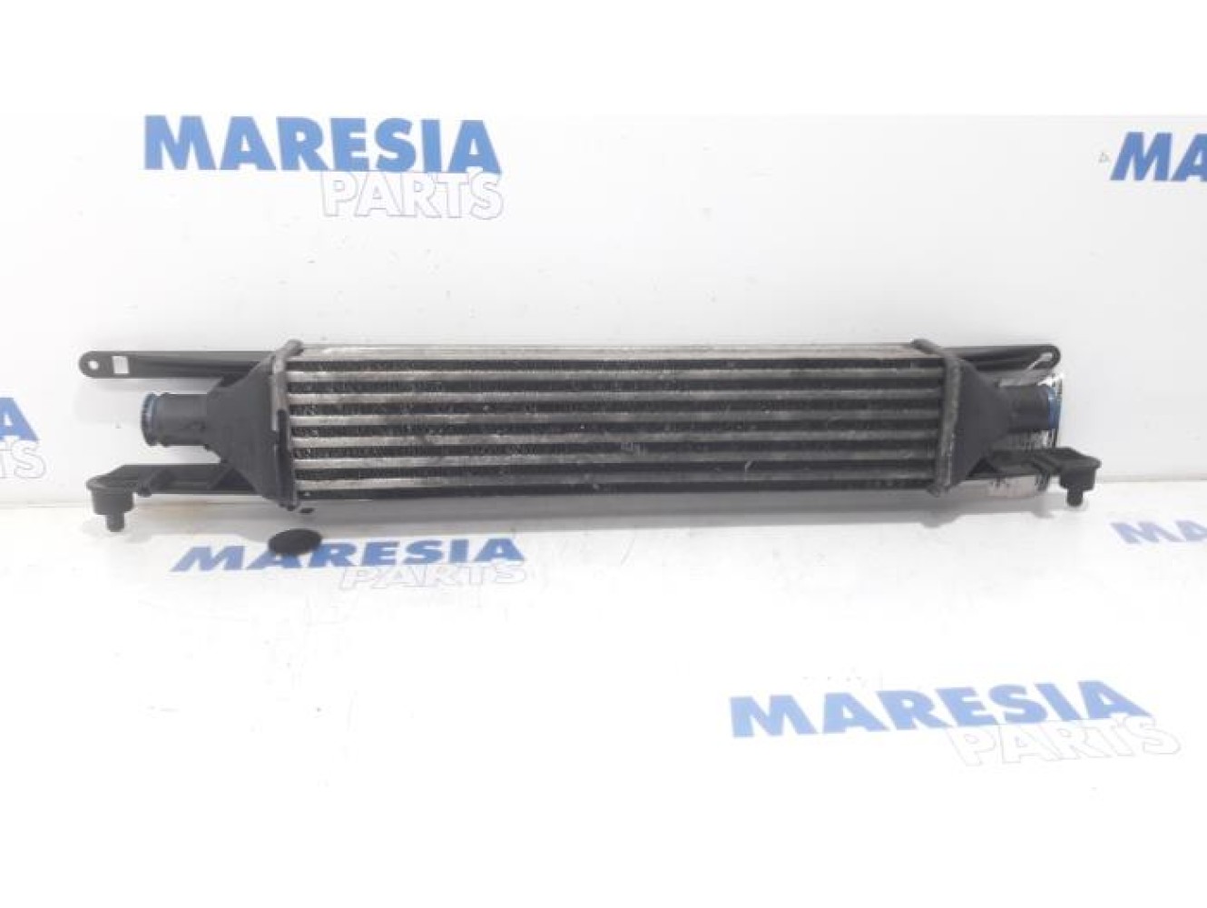 Fiat - Punto - Intercooler