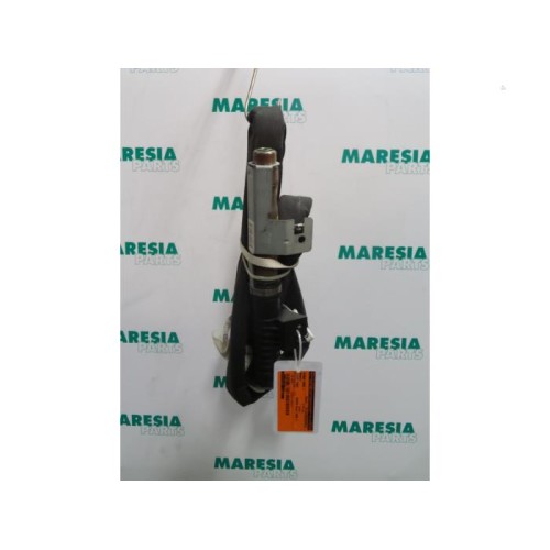 Renault - Megane Scenic - Airbag hemel links