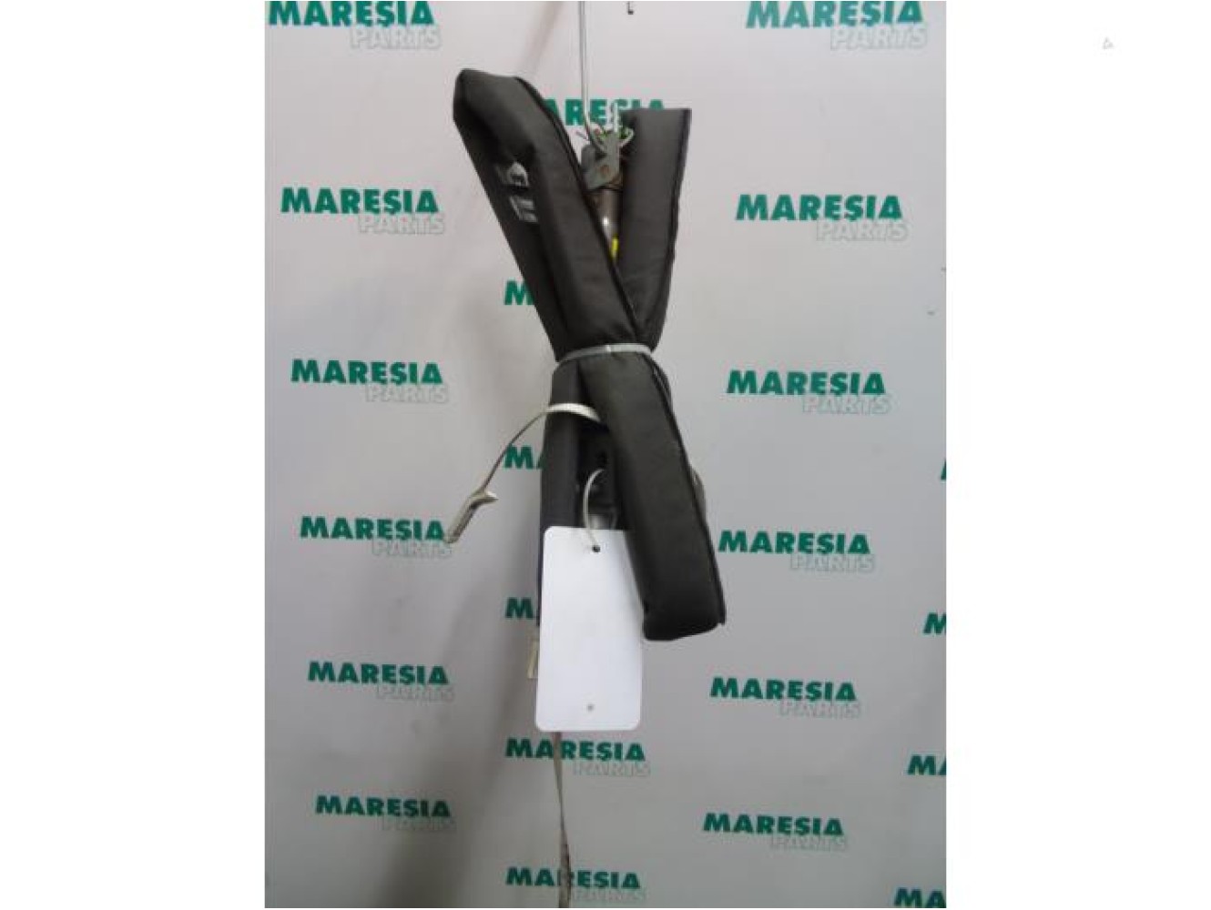 Renault - Megane Scenic - Airbag hemel links