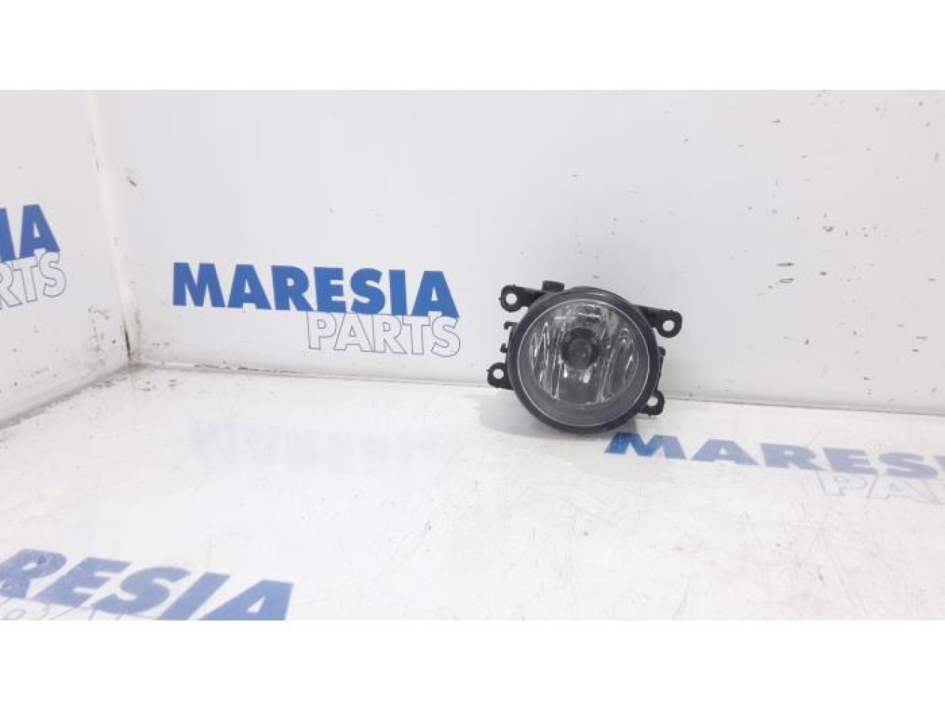 Renault - Megane Scenic - Fog light, front right