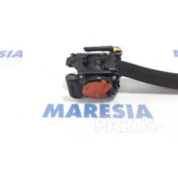 Citroen - Berlingo - Front seatbelt, right