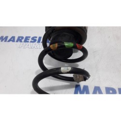 Citroen - Berlingo - Schraubenfeder hinten