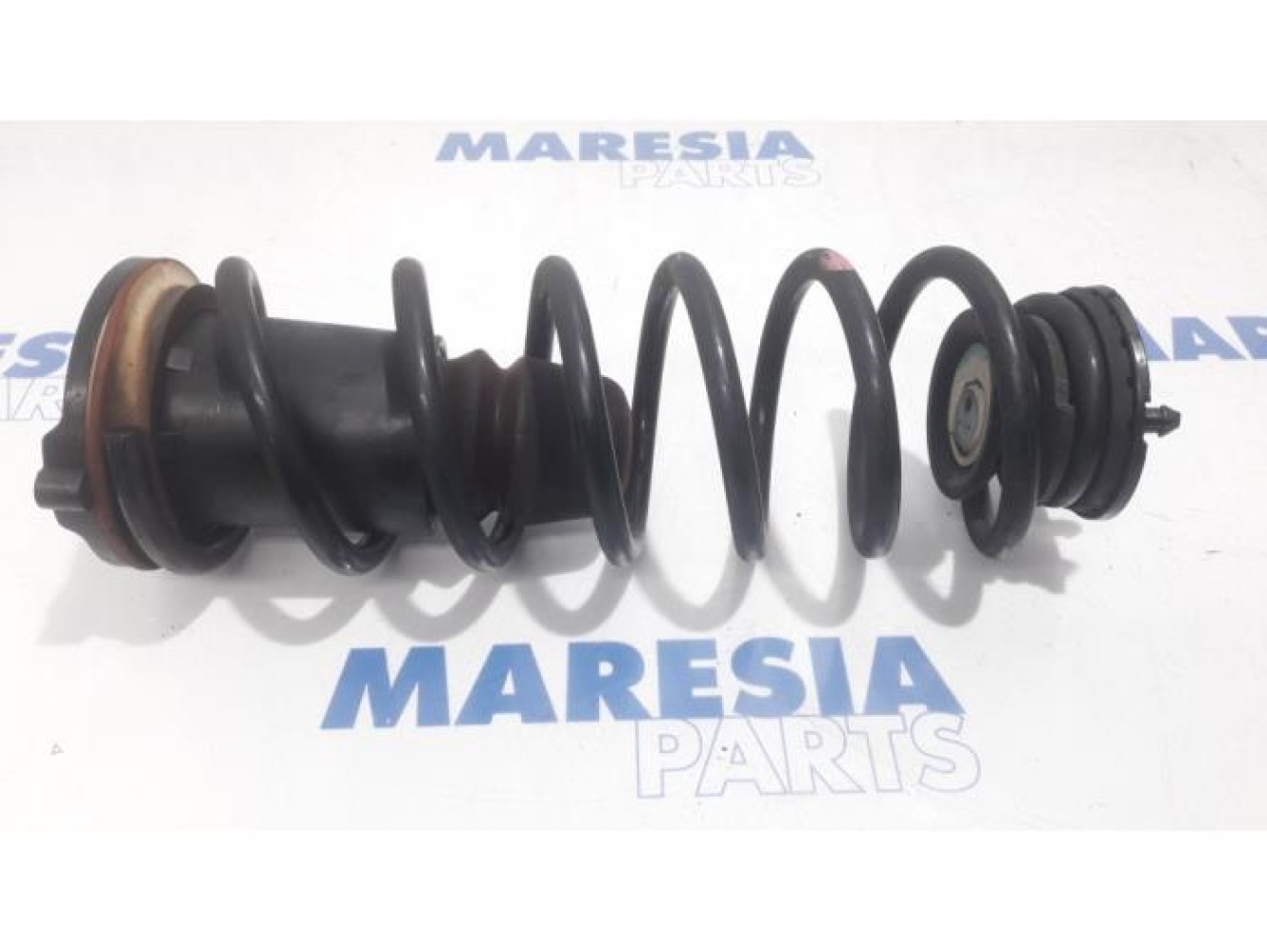 Fiat - Fiorino - Rear coil spring
