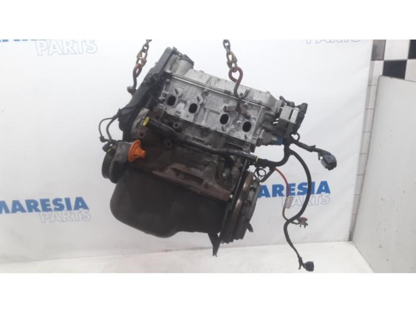 Fiat - Panda - Engine
