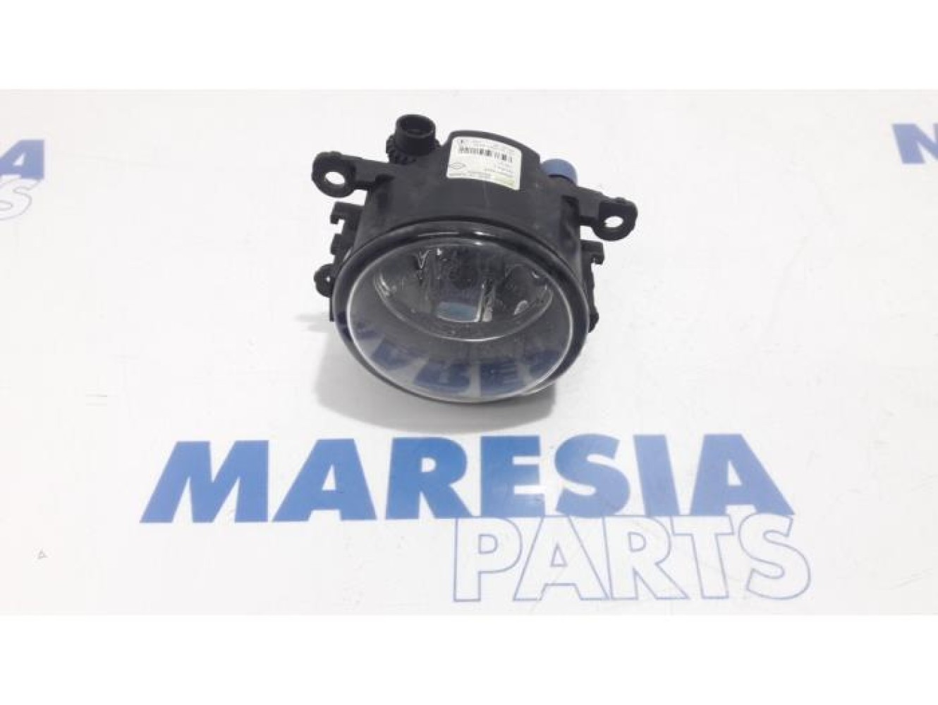 Renault - Laguna - Fog light, front right