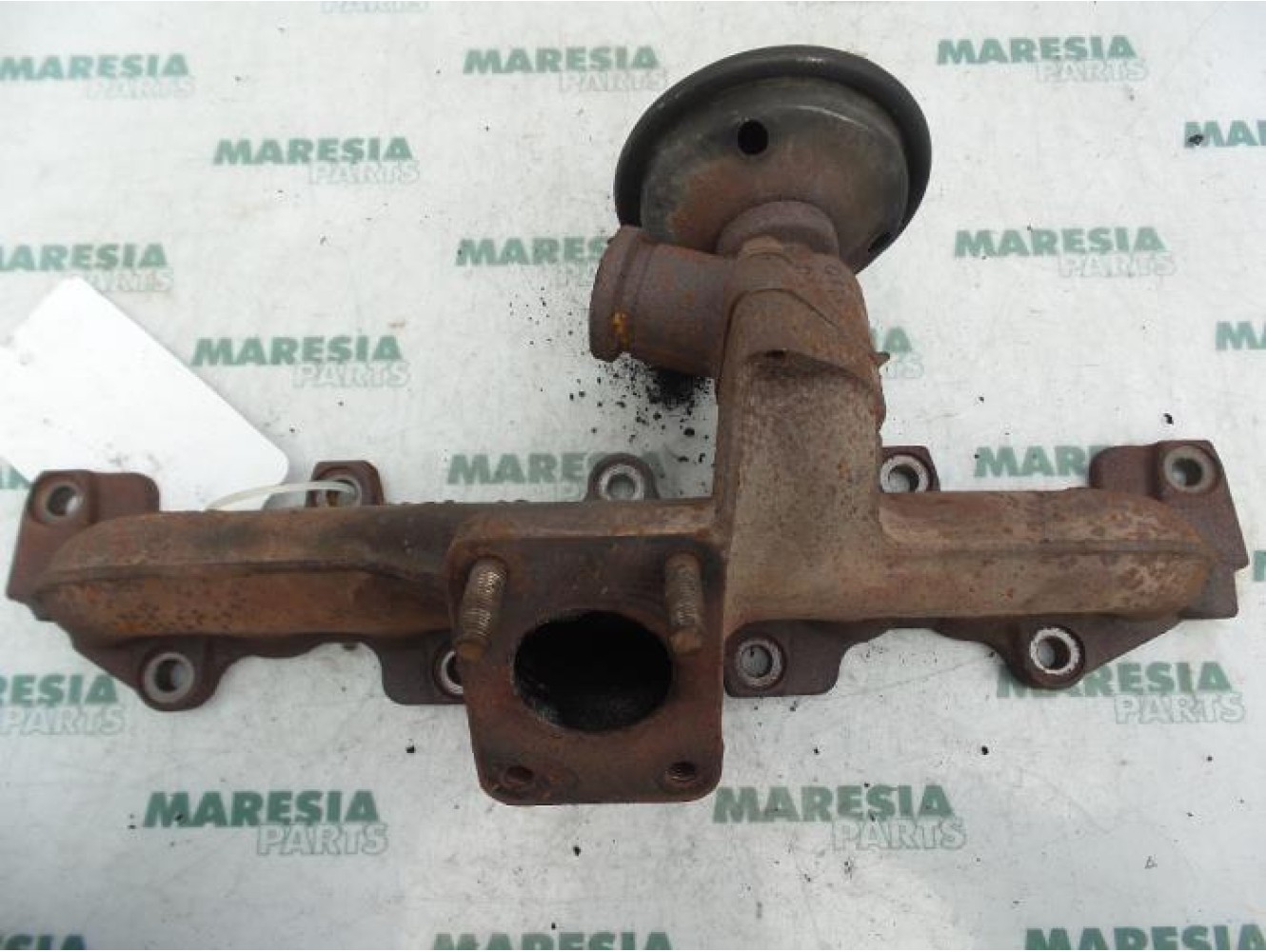 Lancia - Phedra - Abgaskrümmer