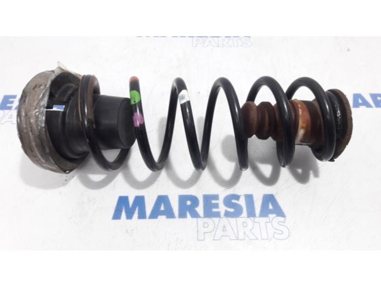 Citroen - Berlingo - Rear coil spring