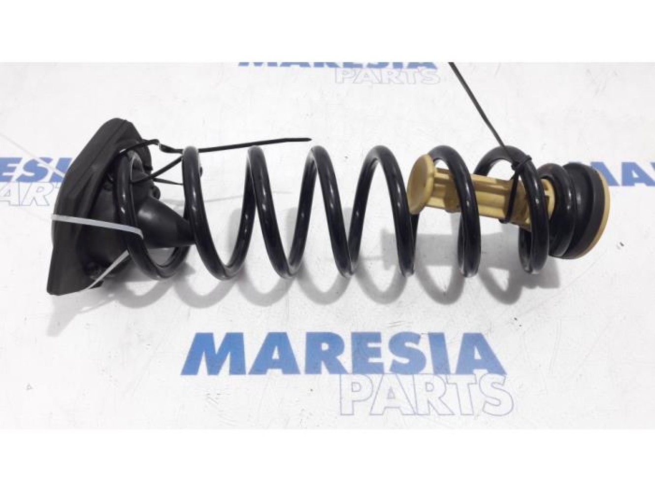 Renault - Megane - Rear coil spring