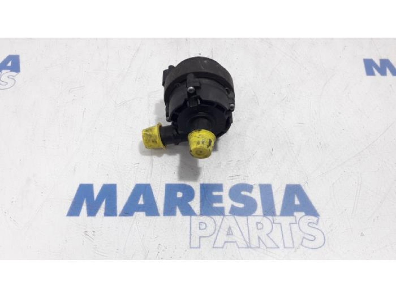 Renault - Megane - Pompe à eau