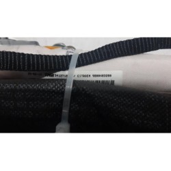Citroen - C4 Picasso - Airbag hemel links