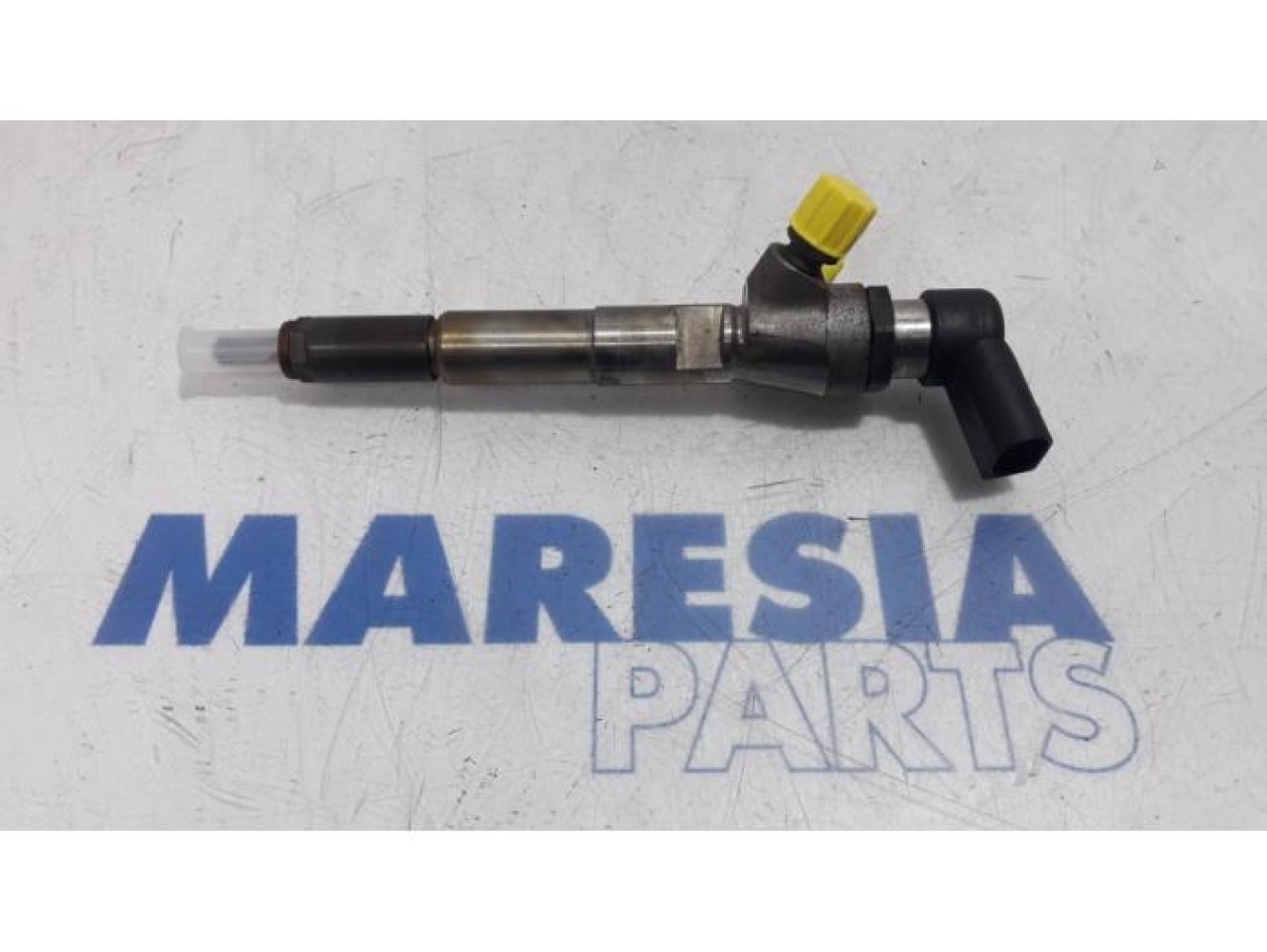 Renault - Megane Scenic - Injector (diesel)
