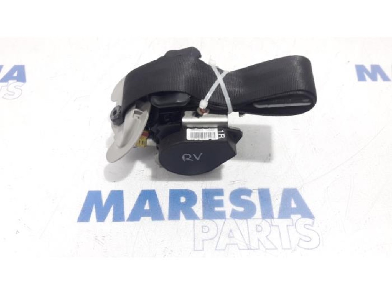 Renault - Laguna - Ceinture de sécurité avant droite