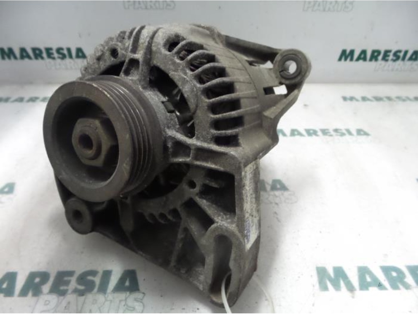 Fiat - Punto - Dynamo