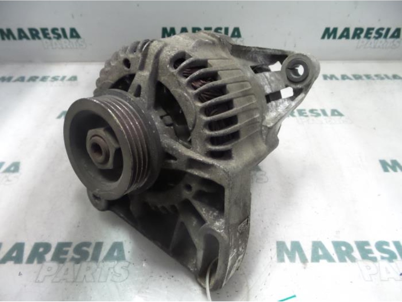 Fiat - Punto - Dynamo