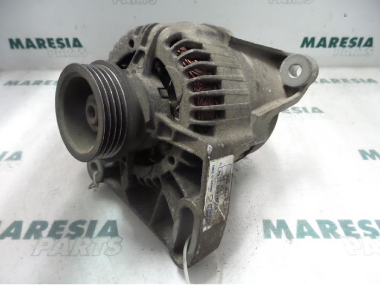 Fiat - Punto - Dynamo