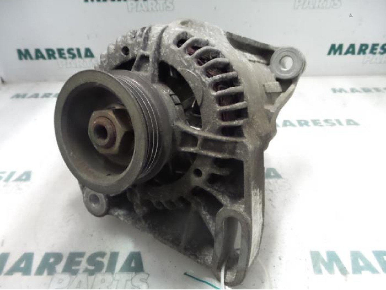 Fiat - Punto - Dynamo