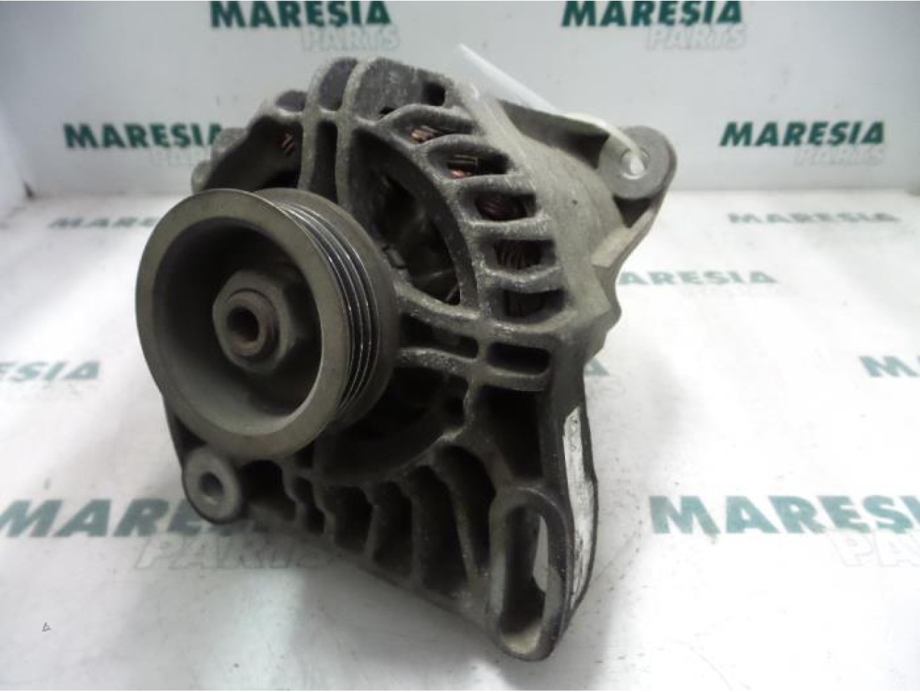 Fiat - Punto - Dynamo