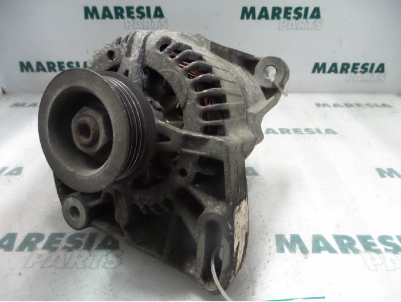 Fiat - Punto - Dynamo
