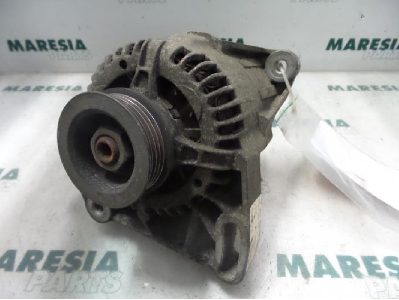 Fiat - Punto - Dynamo