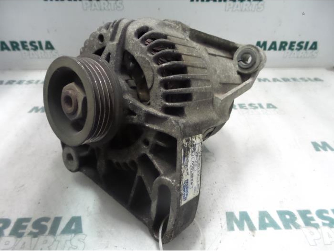 Fiat - Punto - Dynamo