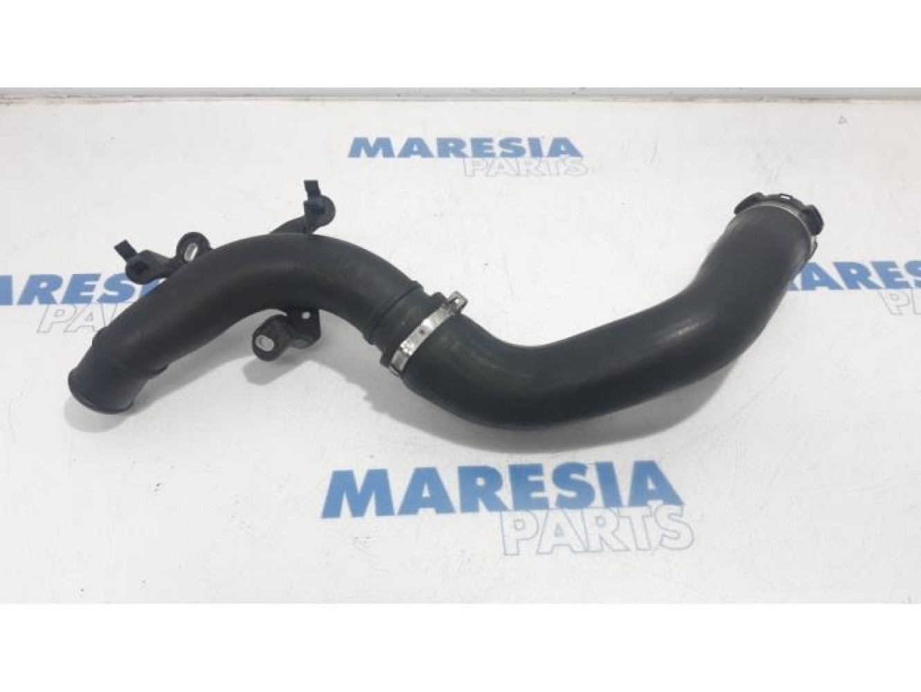Renault - Clio - Turbo hose