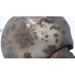 Citroen - Berlingo - Particulate filter