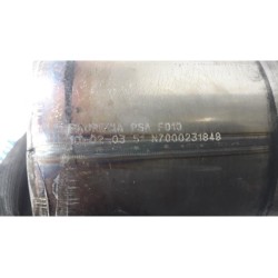 Citroen - Berlingo - Particulate filter
