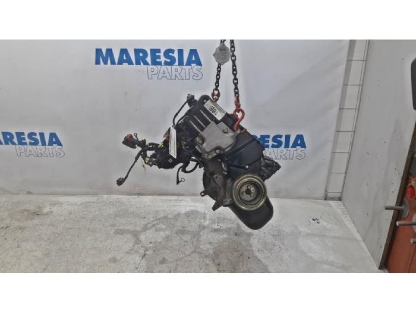 Fiat - Panda - Motor
