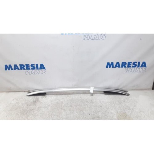 Renault - Clio - Dachreling Set