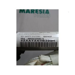 Peugeot - 307 - Airbag Himmel links