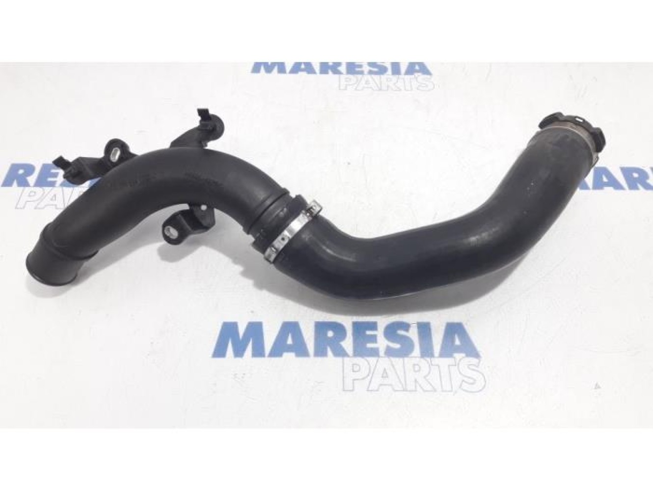 Renault - Clio - Turbo hose