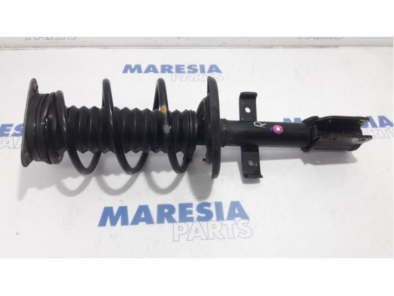 Renault - Clio - Front shock absorber rod, right