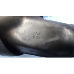 Citroen - DS3 - Particulate filter